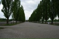 Михаил Грищенко фотография #24 (источник - https://vk.com/id1759995)