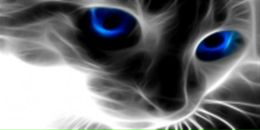 Фотография Медниковой Алины