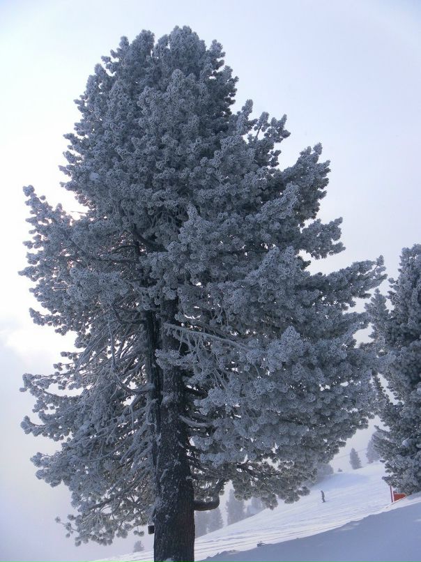 Иван Лапкин фотография #15