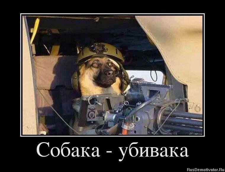 Тимурррчик Савка фотография #25