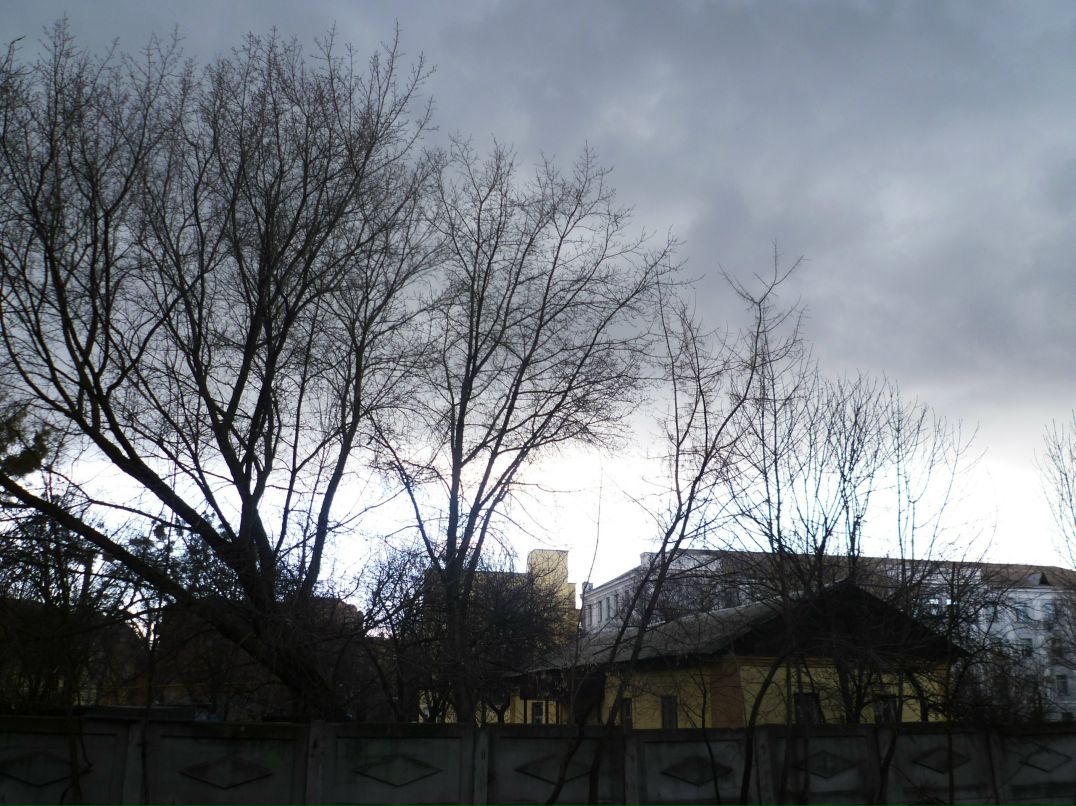 Dragon Fly фотография #21