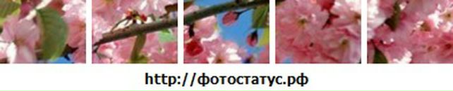 Вероніка Федишин фотография #20 (источник - https://vk.com/id45959990)