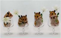 Михаил Антонов фотография #38 (источник - https://vk.com/id3360814)