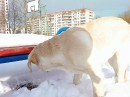 Інді Живко фотография #2 (источник - https://vk.com/id82626680)