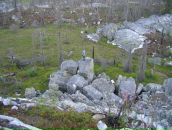 Иван Паньков фотография #33 (источник - https://vk.com/id746503)