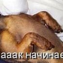 Іван Ілюк фотография #29 (источник - https://vk.com/id69238553)