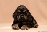 Фотография Поляковой Оли