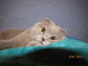 Марк =))) фотография #4 (источник - https://vk.com/id89874033)