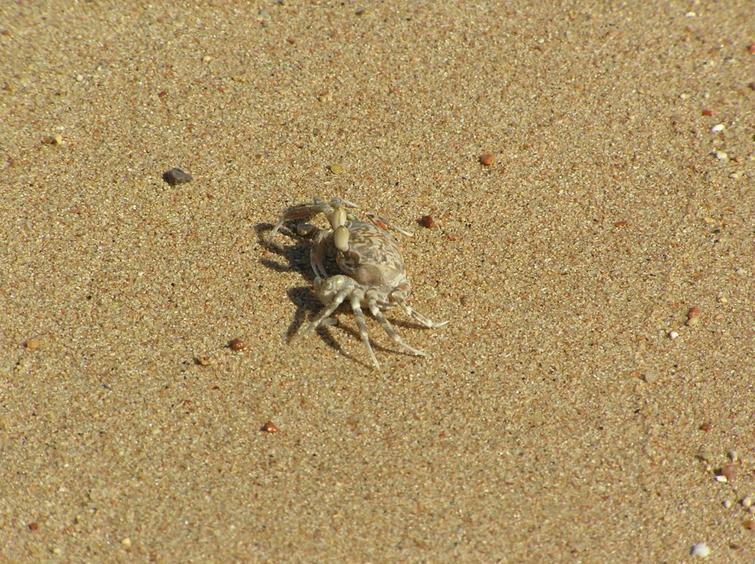 Виктор Бышкин фотография #33