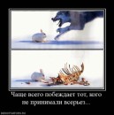 Николай Ковальчук фотография #34 (источник - https://vk.com/id6873751)