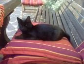 Фотография Патраш Саши