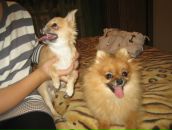 Фотография Хлебниковой Анны