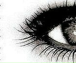 Вася Петя фотография #2 (источник - https://vk.com/id29331749)