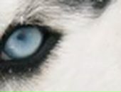 Иван Опарин фотография #44 (источник - https://vk.com/id200144)