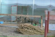 Константин Басалаев фотография #17 (источник - https://vk.com/id257097)