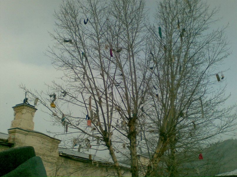 Константин Плотников фотография #5