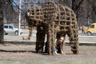 Фотография Шиловой Елены