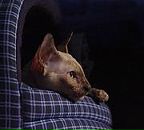 Фотография Дубойского Максима