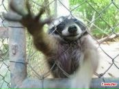 Фотография Плотицына Петра