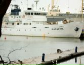 Фотография К Каттарины