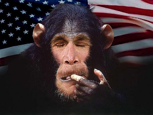 Olga Gilbert фотография #40