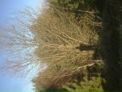 Міша Ярошевський фотография #23 (источник - https://vk.com/id69833166)