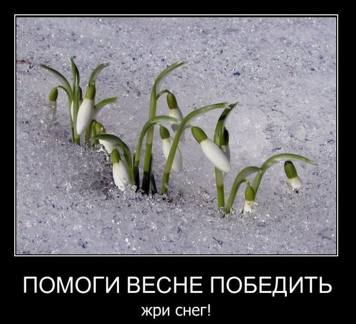 Михаил Ткачев фотография #44