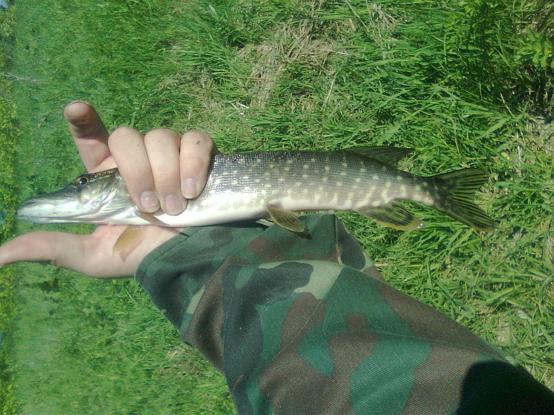 Евгений Губанов фотография #48