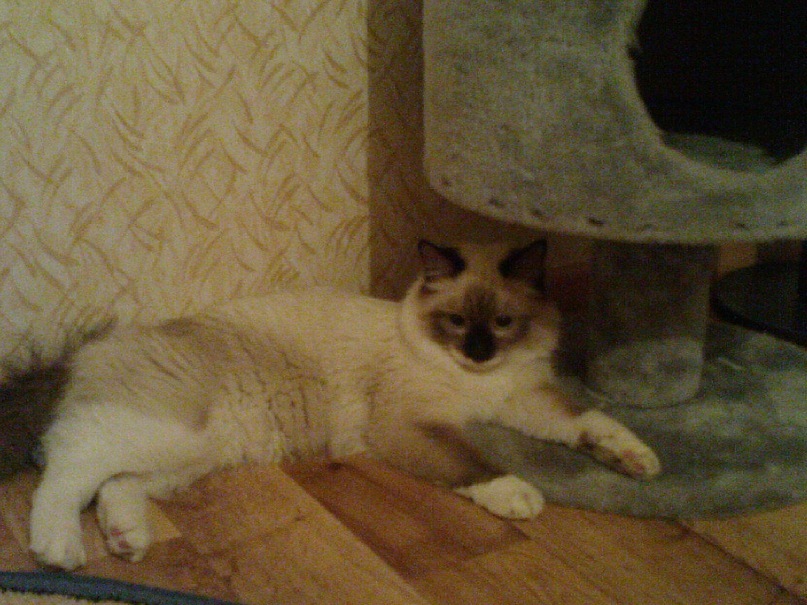 Евгений Никитенко фотография #3