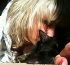 Фотография Чаусов Евгений