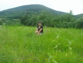 Вікторія Вконтакті фотография #16 (источник - https://vk.com/id62360025)