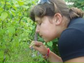 Вікторія Вконтакті фотография #11 (источник - https://vk.com/id62360025)