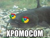 Миша Найс фотография #4 (источник - https://vk.com/id2951223)