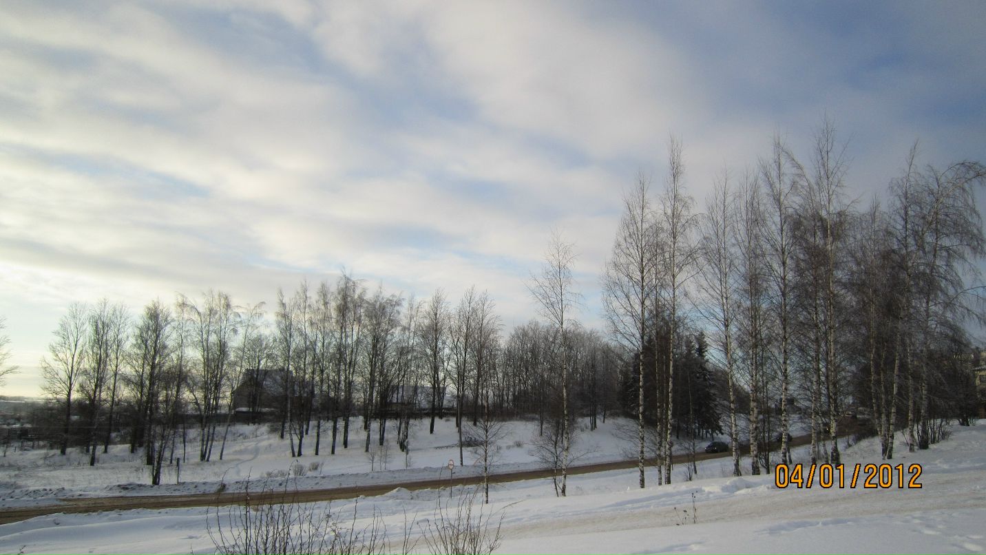 Дмитрий Грачёв фотография #36