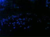 Андрій Базарник фотография #49 (источник - https://vk.com/id6528454)