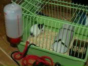 Віталік Талько фотография #41 (источник - https://vk.com/id93295017)