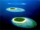 Александра Сапунова фотография #12 (источник - https://vk.com/id470001)