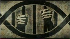 Фотография Каппи Дениса