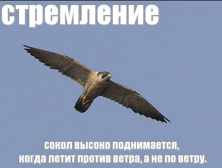 Мечислав Гонца фотография #13