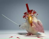 Фотография Аминева Ильмира