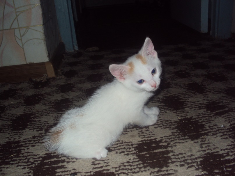 Иван Ендеров фотография #27