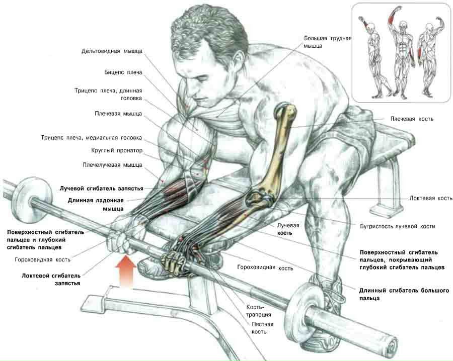 Яраш Акаев фотография #20