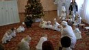 Мартусічка Калайдін фотография #16 (источник - https://vk.com/id163848415)