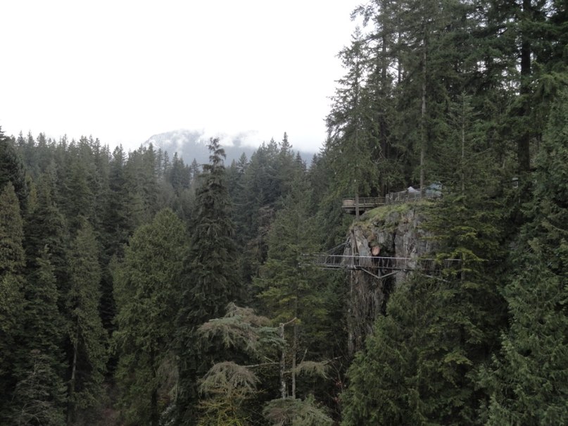 Ольга Малышева фотография #44