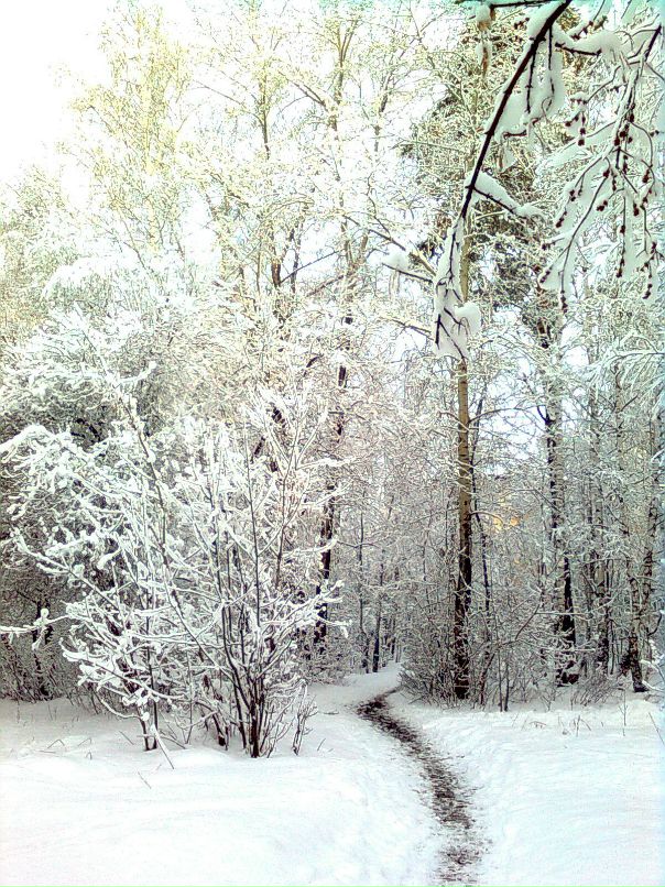 Игорь Сабянин фотография #37