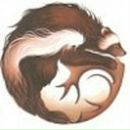 Поліна Зозуля фотография #42 (источник - https://vk.com/id63553634)