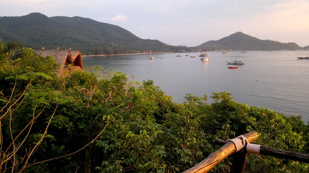 Дмитрий Ткачев фото №1