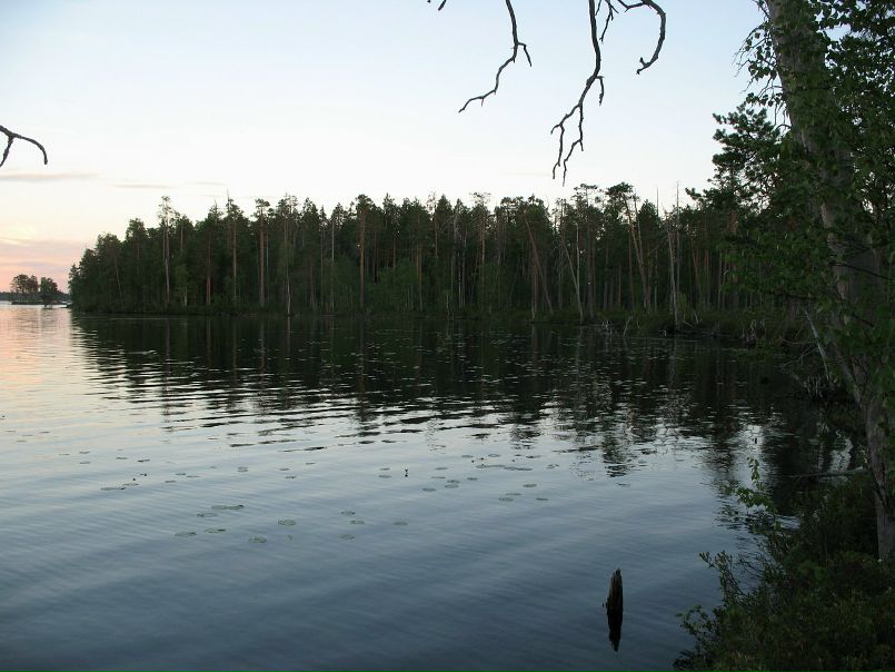 Михаил Романенко фото №16