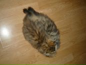 Надежда Краснова фотография #9 (источник - https://vk.com/id859967)