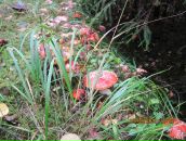 Сергей Репьёв фотография #19 (источник - https://vk.com/id4484013)